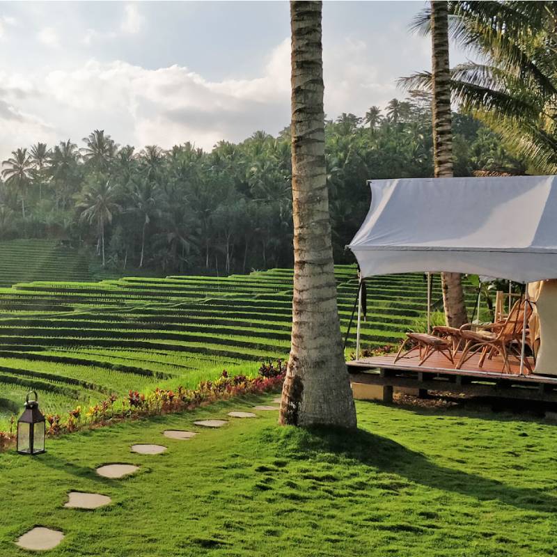 Un camping dans les rizières à Bali.